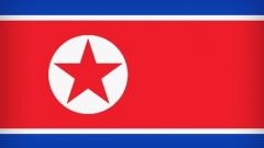 North Korean Flag