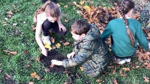 Forest Schools