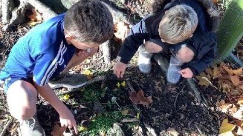 forest schools