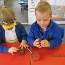 Class 1 Science